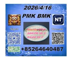 Hot selling PMK 28578-16-7 BMK 5449-12-7  El camarero, confundido, responde