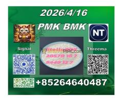 Hot selling PMK 28578-16-7 BMK 5449-12-7  El camarero, confundido, responde