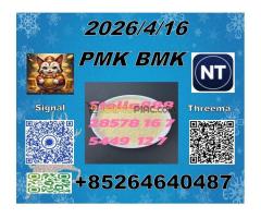 PMK 28578-16-7  BMK 5449-12-7 fast delivery  por favor. Pruebe esta sopa».