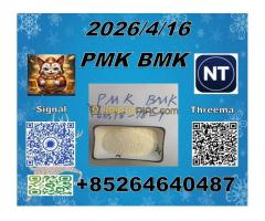 PMK 28578-16-7  BMK 5449-12-7 fast delivery  por favor. Pruebe esta sopa».