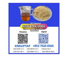 CAS 28578-16-7 PM.K |CAS 28578-16-7 PM.K | Rapid Processing for All  Rapid Processing for All Orders