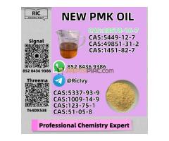 New 5449-12-7 B.MK Powder 28578-16-7 P.MK Oil Doorstep Service