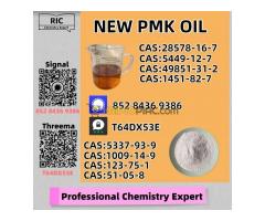 Available for speedy delivery P.MK B.MK Oil Prime Wholesale Bulk 28578-16-7