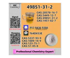 Ready for prompt shipment 49851-31-2 In Stock BM.K 5449-12-7 Good Price PM.K 28578-16-7