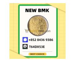 Prompt shipment will be provided upon request B.MK CAS 5449-12-7 Add 28578-16-7