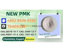 Safe, stable, and timely delivery New CAS: 28578-16-7 P.MK B.MK Powder/Oil