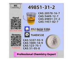 Safe, dependable, and prompt consignment CAS: 49851-31-2 P.MK CAS: 28578-16-7