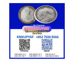 Reliable Stock CAS 28578-16-7 PM.K BM.K 5449-12-7