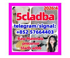 5cladba 5cladbb yellow Powder a