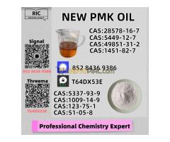 Dependable Factory Stock CAS28578-16-7 B.MK Powder 5449-12-7 P.MK Oil