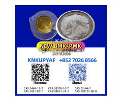 flowing supply 28578-16-7 PM.K and CAS 5449-12-7 stock