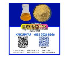 Stable Output p.m.k 28578-16-7 ,5449-12-7 Available