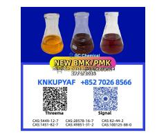 available through PM.K CAS 28578-16-7 Available BM.K 5449-12-7