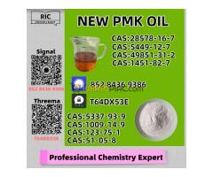 Quality-controlled source at the highest standard New P.MK CAS 28578-16-7 + B.MK CAS 5449-12-7