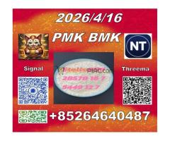 Ingredients P-MK CAS 28578-16-7 and  B-MK CAS 5449-12-7/ 49851-31-2   Elias was a young boy who - Kép 12/12