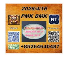 From Stella CAS 5449-12-7 B.M.K and cas 28578-16-7 P.M.K /New product in stock - Kép 6/12