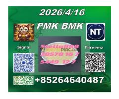 From Stella CAS 5449-12-7 B.M.K and cas 28578-16-7 P.M.K /New product in stock - Kép 10/12