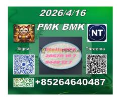 From Stella CAS 5449-12-7 B.M.K and cas 28578-16-7 P.M.K /New product in stock - Kép 12/12