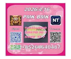 Avaliable in stock P.M.K Cas 28578-16 -7 bmk CAS 5449-12-7 will hav stock in May