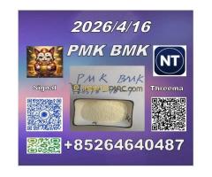 Supply China reliable supplier PM.K CAS 28578-16 -7/ 49851-31-2from stella with top quality IN am ma - Kép 9/12