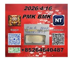 Supply China reliable supplier PM.K CAS 28578-16 -7/ 49851-31-2from stella with top quality IN am ma - Kép 10/12