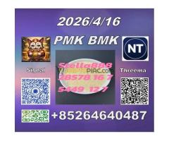 Raw Materials cas 28578-16-7 P-MK and cas5449-12-7B-MK with top quality from Stella - Kép 7/12