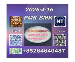 Raw Materials cas 28578-16-7 P-MK and cas5449-12-7B-MK with top quality from Stella - Kép 11/12