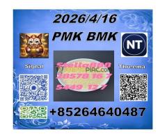 People like CAS 28578-16-7 PMK and CAS5449-12-7 BMK from China and with stable supply - Kép 9/10