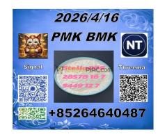 People like CAS 28578-16-7 PMK and CAS5449-12-7 BMK from China and with stable supply - Kép 10/10