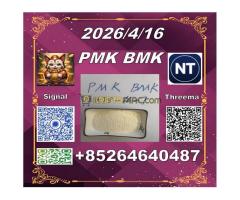 In May supply Cas 28578-16-7 PM.K and cas 5449-12-7 BM.K/49851-31-2/Seeking long-terms customers - Kép 3/12