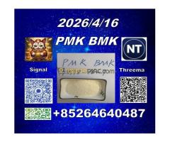 In May supply Cas 28578-16-7 PM.K and cas 5449-12-7 BM.K/49851-31-2/Seeking long-terms customers - Kép 12/12