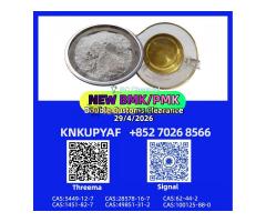 Warehousing PM.K CAS 28578-16-7 in stock 5449-12-7