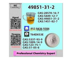 Source One: Safety-First Factory 5449-12-7 49851-31-2 1451-82-7