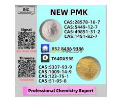 Safety-First Production – Direct Primary Source New P.MK CAS 28578-16-7