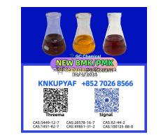 BMK CAS 5449-12-7 supporting PMK CAS 28578-16-7 stock