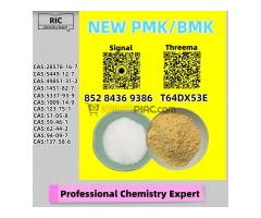 Intercontinental Trade Supplier B.MK 5449-12-7 Add P.MK 28578-16-7