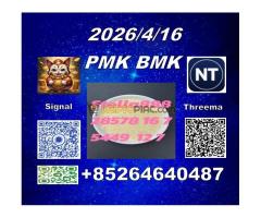 Large-stock now raw materials/ CAS 5449-12-7 BMK or cas 28578-16-7 PMK - Kép 9/12
