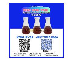 PM.K CAS 28578-16-7 with flexible shipping
