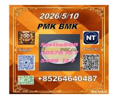 Now bulk-stok Sales PMK 28578-16-7 BMK 5449-12-7 /PM.K 28578-16-7 and 49851-31-2 and B.MK 5449-12-7