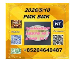 Now bulk-stok Sales PMK 28578-16-7 BMK 5449-12-7 /PM.K 28578-16-7 and 49851-31-2 and B.MK 5449-12-7 - Kép 7/9