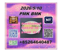 Honest-supplier provide  CAS 5449-12-7 BM.K and cas28578-16-7 PM.K /Supply for a long term - Kép 1/11