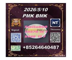 Honest-supplier provide  CAS 5449-12-7 BM.K and cas28578-16-7 PM.K /Supply for a long term - Kép 11/11