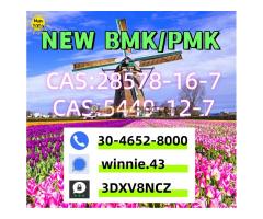 CAS:5449-12-7 MF:C10H11NaO3 MW:202.18 EINECS:226-500-0 Product Categories:5449-12-7;5449;BMK   Produ - Kép 1/4