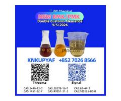Bulk chemical supply BM.K CAS 5449-12-7 +Bulk chemical supply BM.K CAS 5449-12-7 + P PM.K 28578-16-7