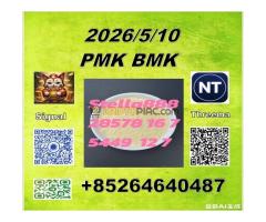 Raw material  CAS5449-12-7 BM.K PLUS 28578-16-7 PM.K     -in a quiet village - Kép 6/12
