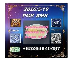Bulk stock to sell cas28578-16-7 P-MK and CAS5449-12-7 B-MK/ 49851-31-2 -----But this time