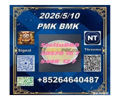 Hot selling PM.K cas28578-16-7 and BM.K cas5449-12-7/49851-31-2        - I shall never forget it!