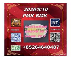 Best quality PM.K 28578-16-7 BM.K 5449-12-7/49851-31-2       -ropes until the Lion was free. - Kép 8/10