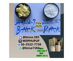 Industrial Chemical Supplier Europe Factory Direct 28578-16-7 PM.K New BM.K 5449-12-7   49851-31-2