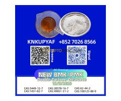 BMK CAS 5449-12-7 alongside PMK CAS 28578-16-7 BMK CAS 5449-12-7 alongside PMK CAS 28578-16-7
